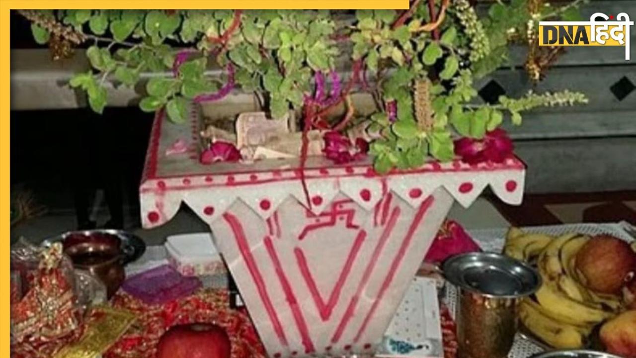 Tulsi Vivah 2024: इस दिन मनाया जाएगा तुलसी विवाह का त्योहार, जानें शुभ मुहूर्त से लेकर संयोग