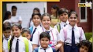 JNV Result 2025: जवाहर नवोदय विद्यालय 6वीं-9वीं एंट्रेंस टेस्ट के नतीजे जारी, navodaya.gov.in पर यूं करें चेक