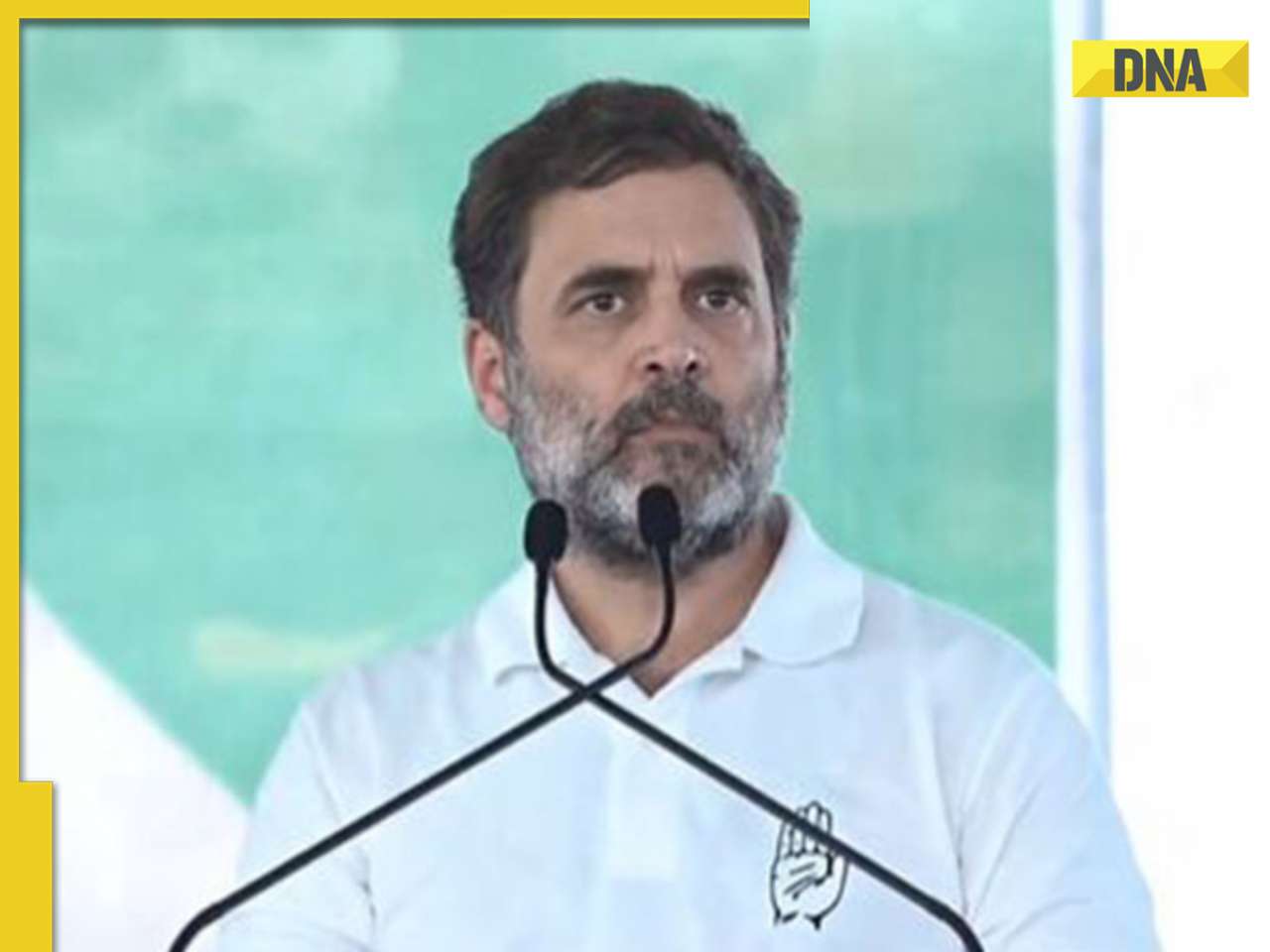 Haryana Assembly Election 2024: Rahul Gandhi to campaign in Nuh, hold Vijay Sankalp rally today