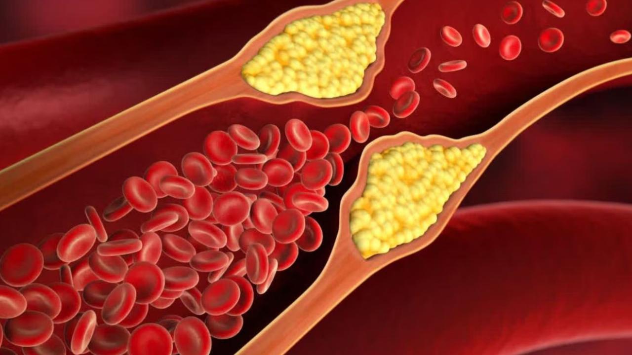 कोलेस्ट्रॉल को भी करता है कंट्रोल