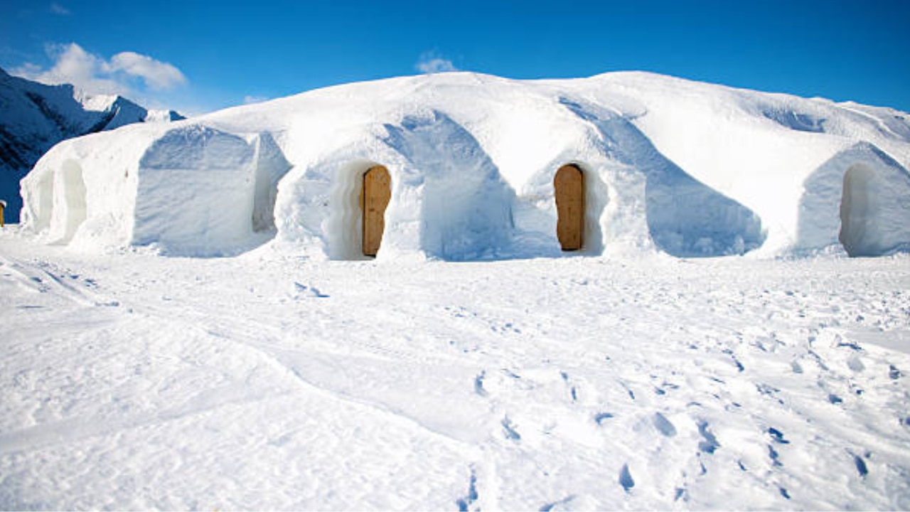 Harmony Igloo Stay