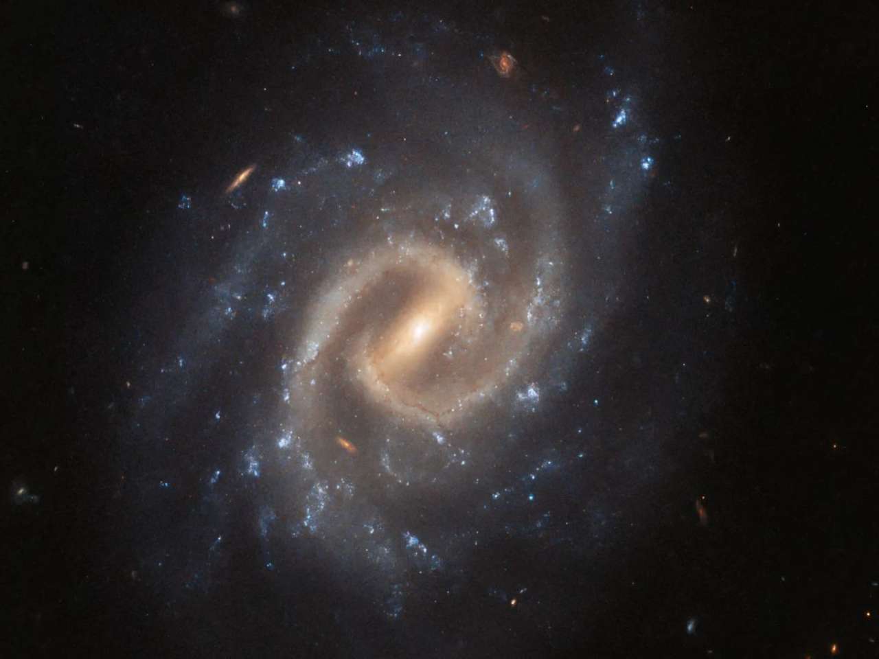 Spiral galaxy UGC 12295