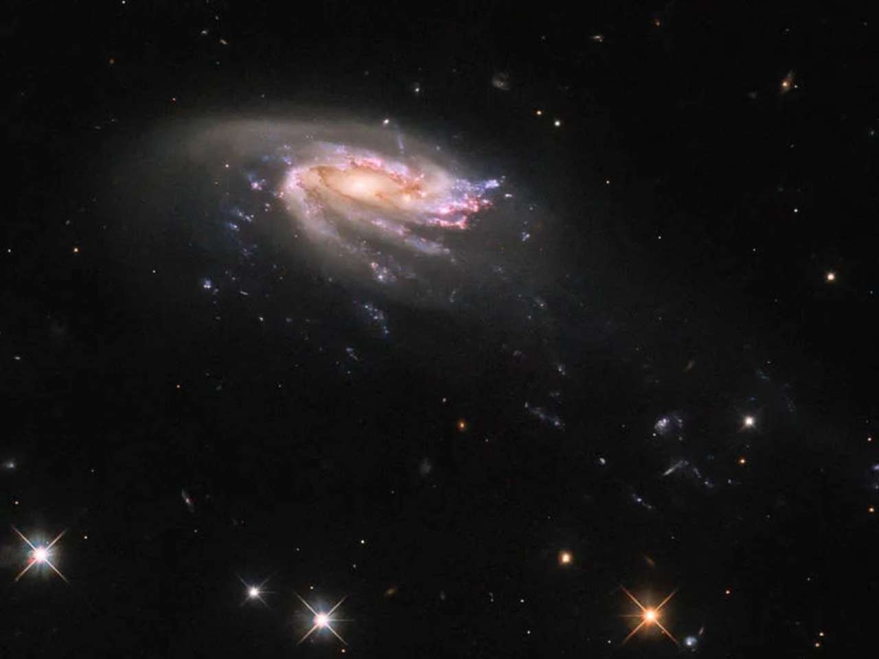 Jellyfish galaxy JO206