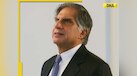  Why did Ratan Tata never marry? Legendary industrialist once revealed... 