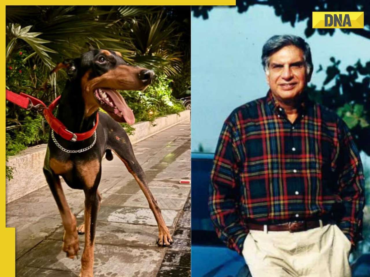 How Ratan Tata's dog 'Goa' got his name, know story behind it