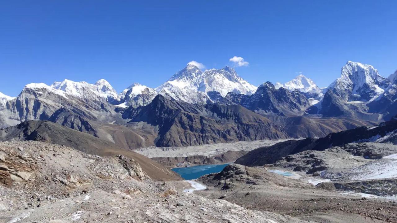 यहां कौन-कौन से समुद्री जीव हैं 