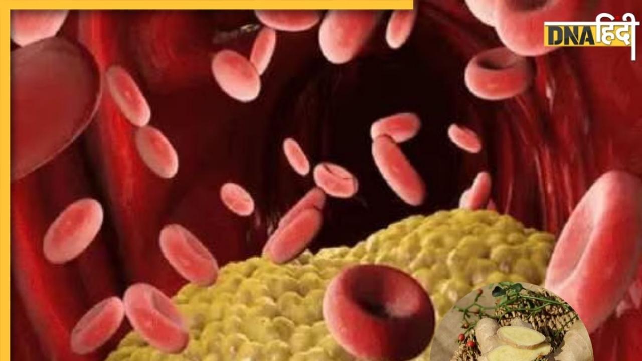 Bad Cholesterol का खात्मा कर देगी अदरक से बनी ये खास ड्रिंक, जानें बनाने का तरीका