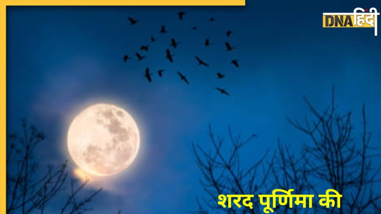 Happy Sharad Purnima 2024: शरद पूर्णिमा पर प्रियजनों को से भेजें शुभकामनाएं, बना रहेगा मां लक्ष्मी का आशीर्वाद