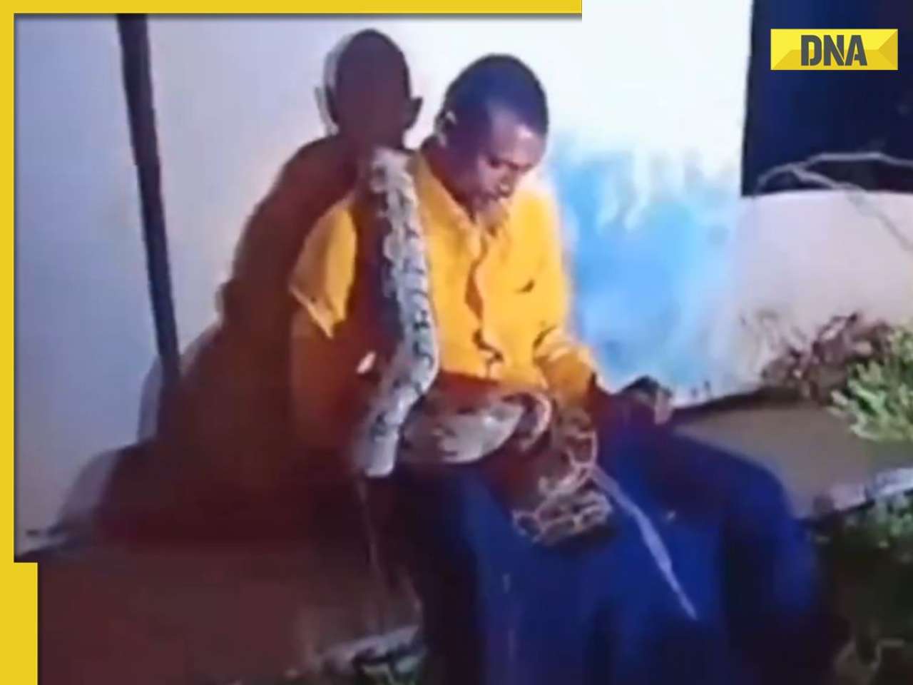 Video of drunk man wrapped in giant python's deadly grip in Andhra Pradesh goes viral, watch here