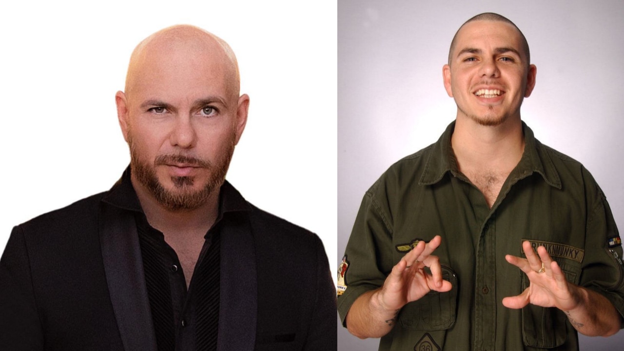 Pitbull net worth 