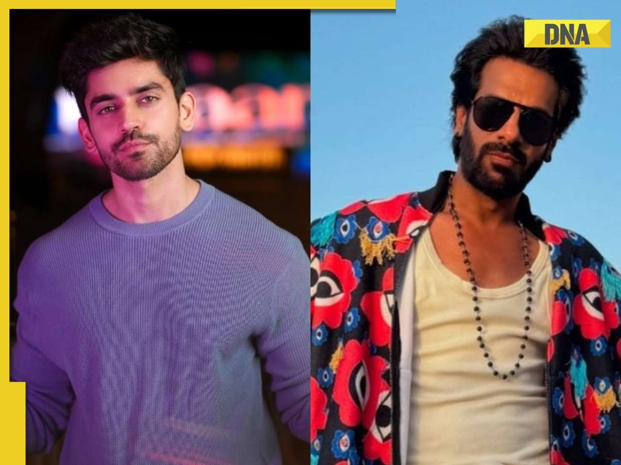 Bigg Boss 18: Avinash Mishra, Karan Veer Mehra's ugly fight leaves internet divided, fans support THIS contestant