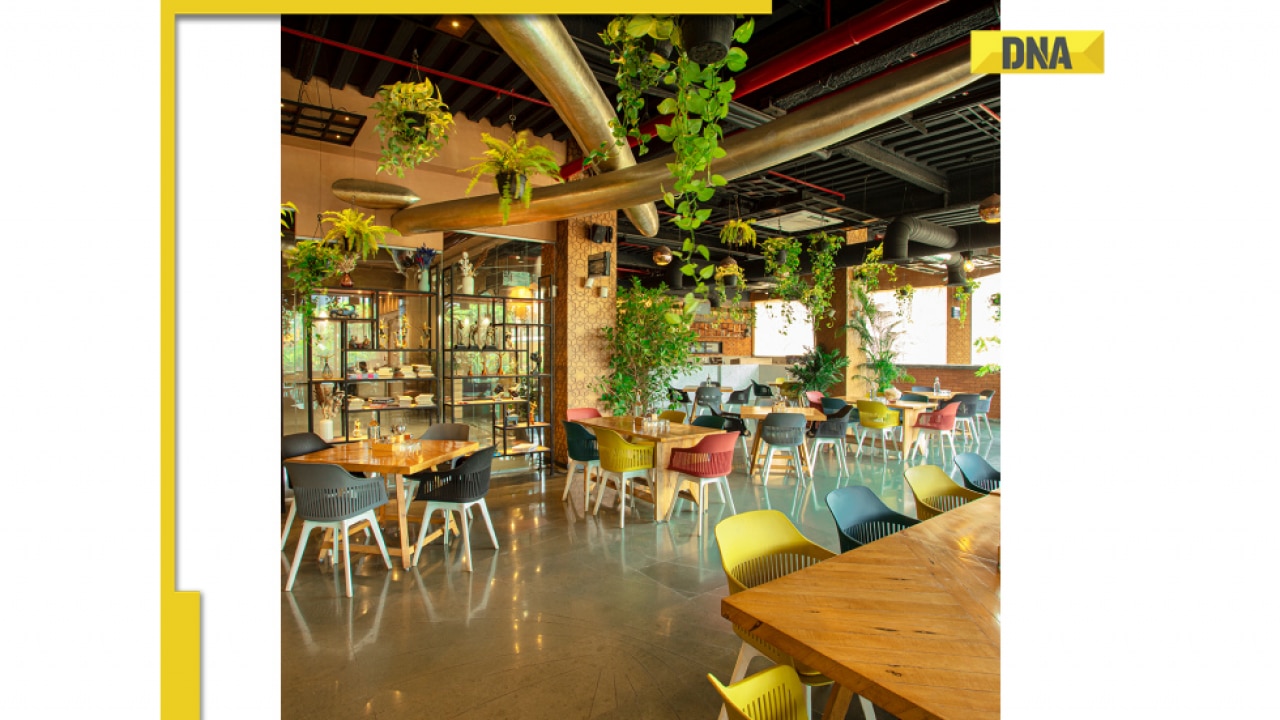 Rupa Group Expands into Hospitality with Innovative Concepts, Enhancing Navi Mumbai’s Dining Experience