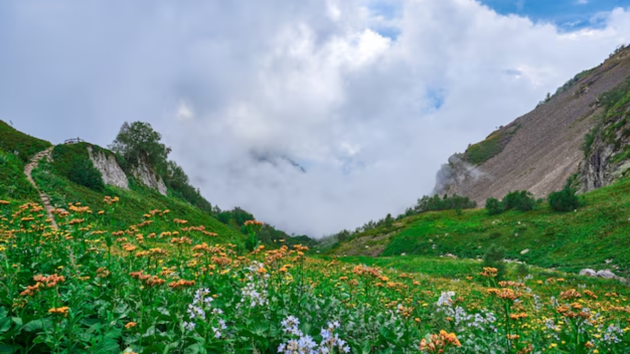 Valley of Flowers in Uttarakhand