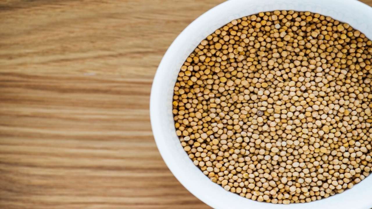 Coriander Seeds