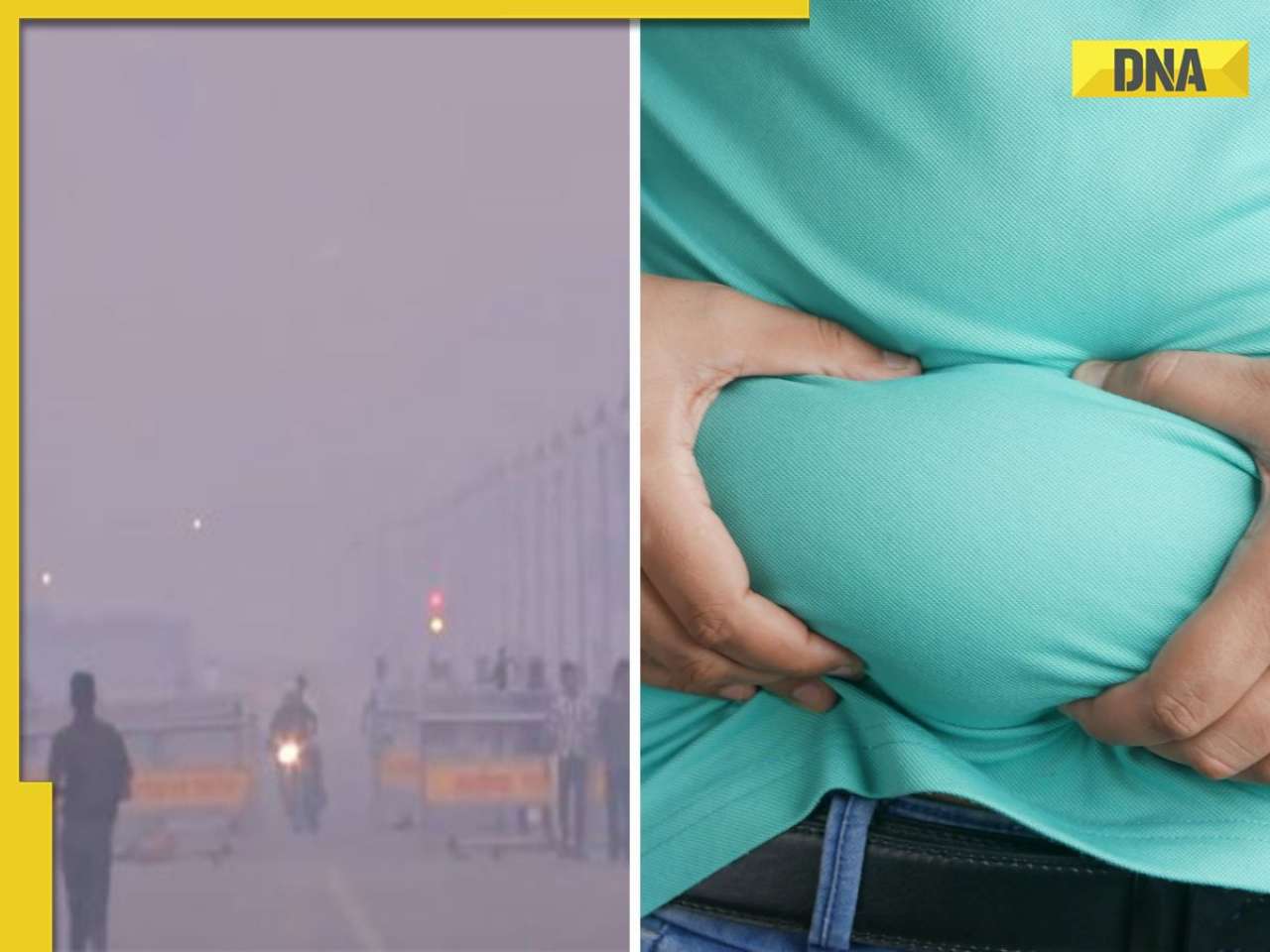 Can air pollution make you fat? Know how high AQI impact your health