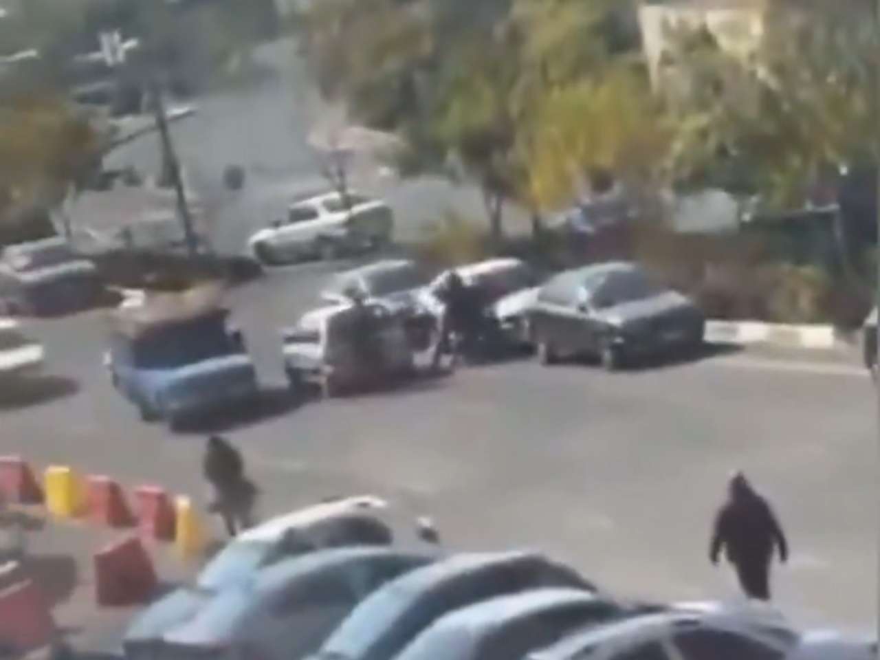 Daryaei's arrest video