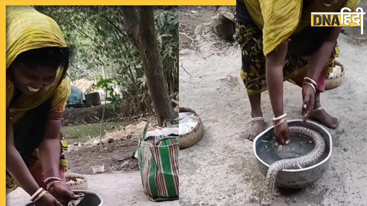 Viral Video: कोबरा को बच्चे की तरह नहलाती महिला, वीडियो देख सहमें लोग, अगर काटता तो हो जाती मौत