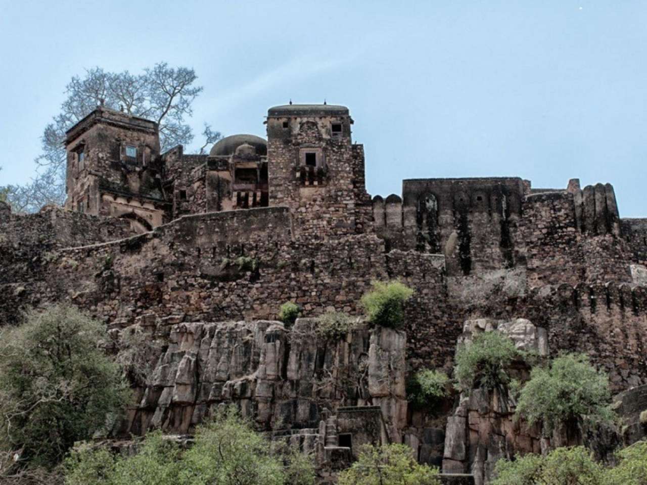 Ranthambhore, Rajasthan