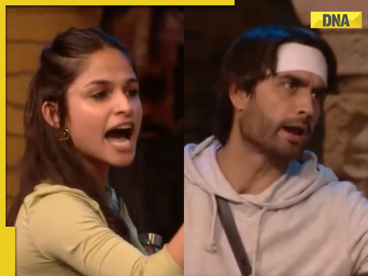 Bigg Boss 18: Netizens hail Kashish Kapoor for slamming Vivian Dsena in their fight, say 'laadle ki band baja di'