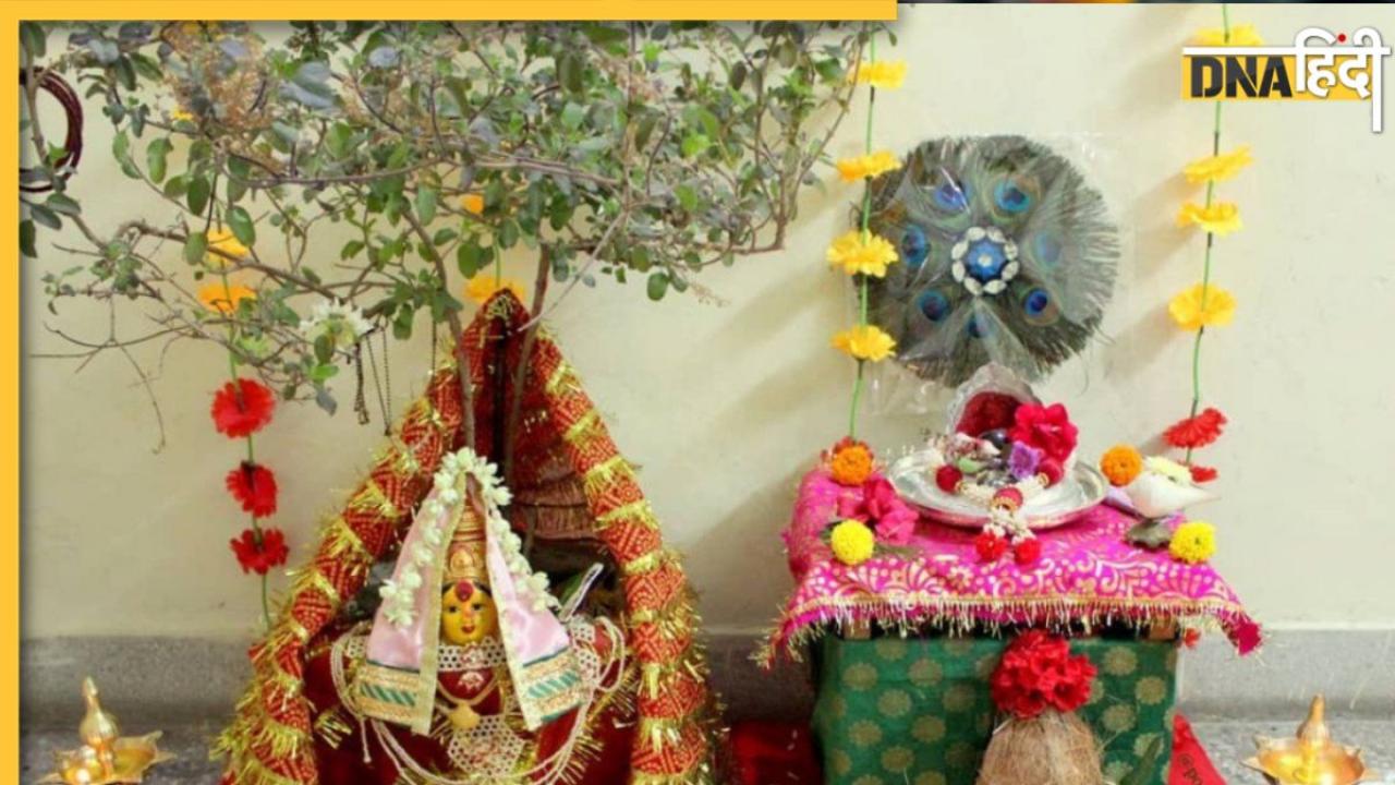 Tulsi Vivah Katha: क्यों मिला था भगवान विष्णु को श्राप और क्यों करनी पड़ा तुलसी संग विवाह? पढ़ें ये कथा