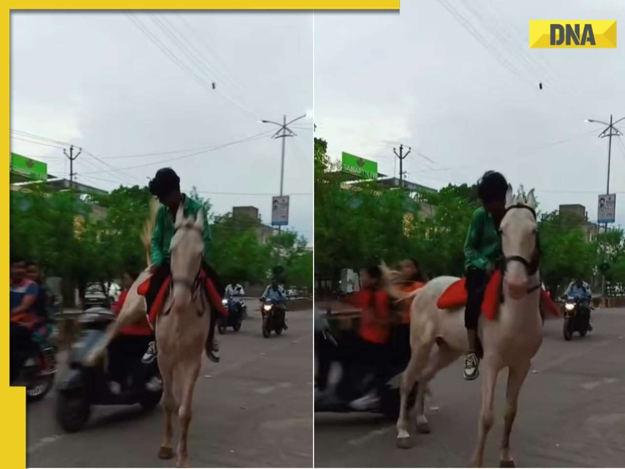 Caught on camera: Horse kicks woman off scooty on busy road, watch viral video