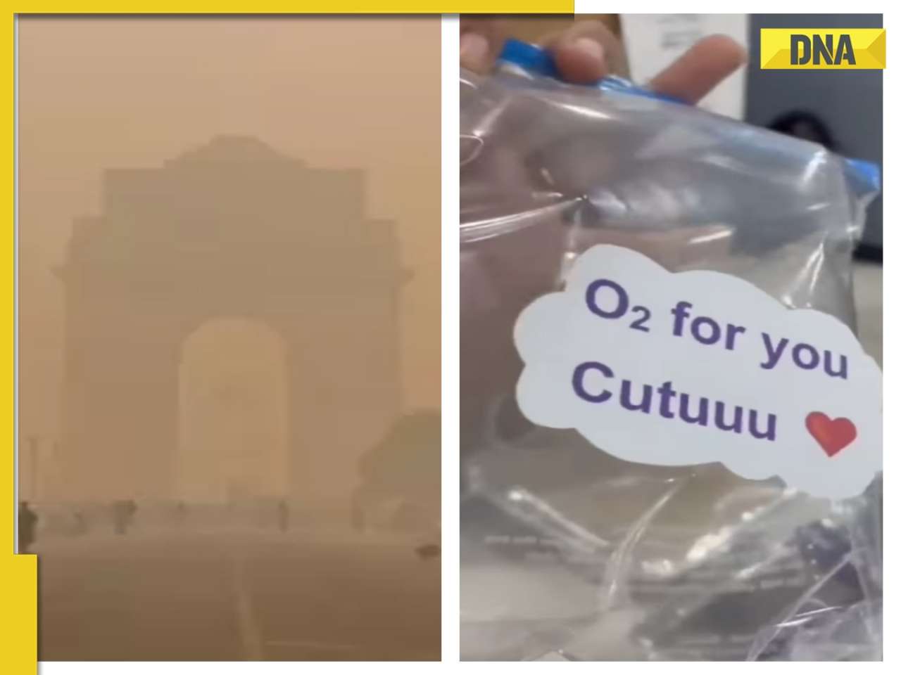 'O2 for you Cutuuu': Woman gets 'oxygen' with food ordered online as pollution peaks in Delhi, WATCH viral video 