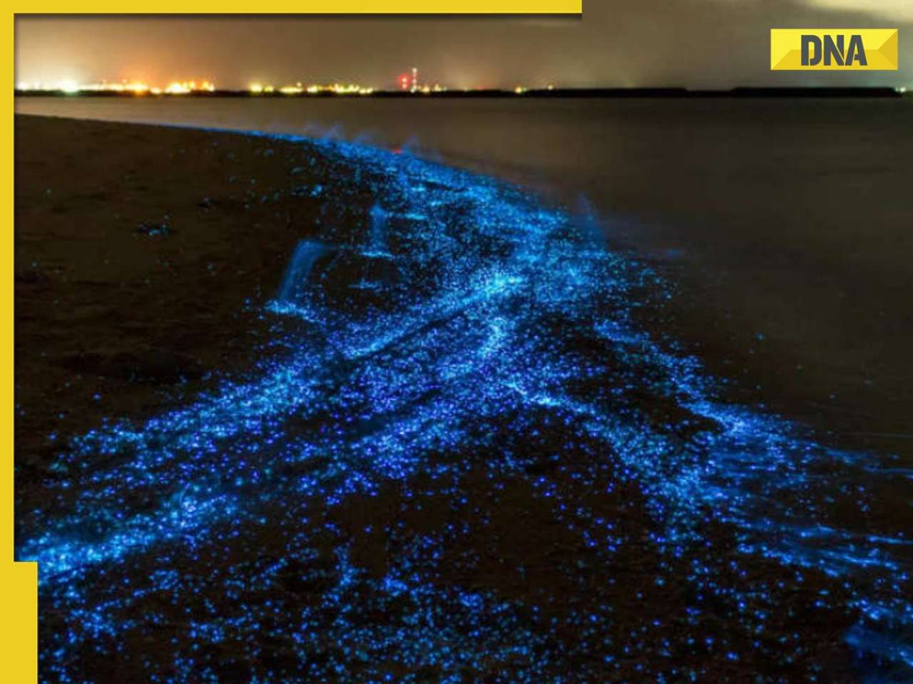 In pics: 5 night beaches in India that glow in the dark