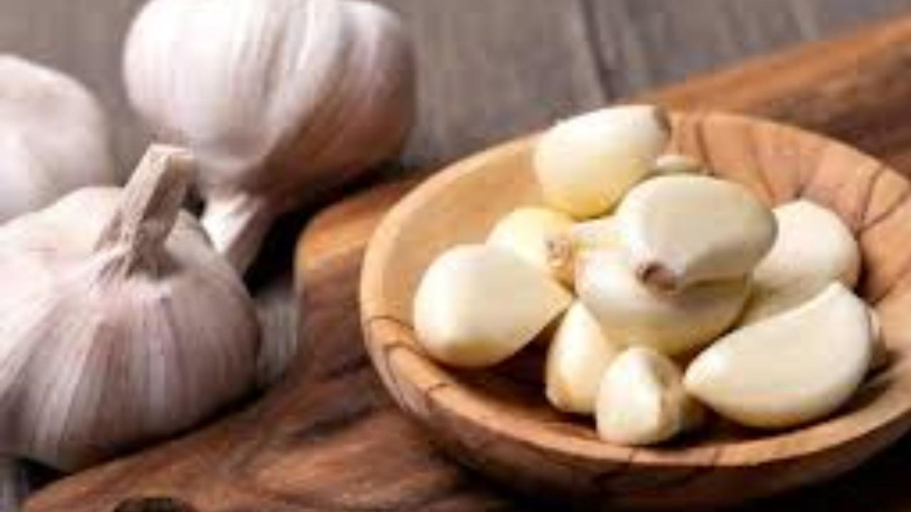 Garlic