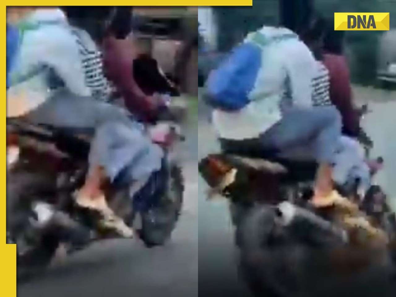 Viral video: Men triple riding bike attempt stunt on highway, fall and crash leaves internet divided, watch