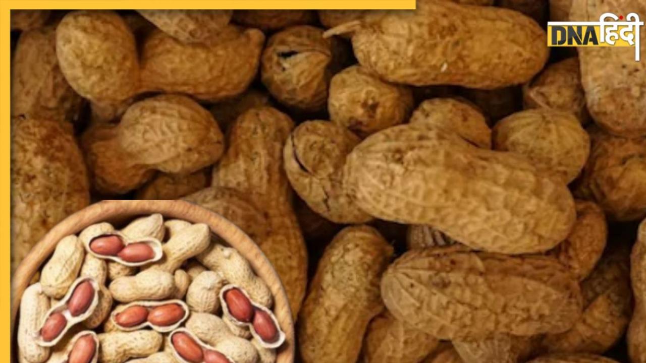 Peanuts Benefits: टाइमपास के लिए खाते हैं मूंगफली तो जान लें फायदे भी, स्वाद के साथ है सेहत का खजाना