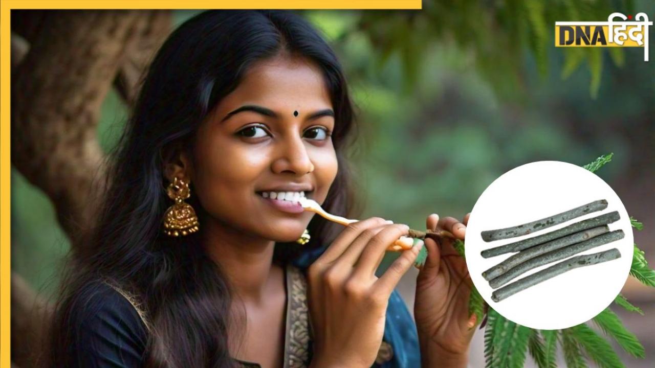 Cavity और पायरिया का रामबाण इलाज है इस पेड़ का दातून, दर्द-सड़न से मिलेगी राहत