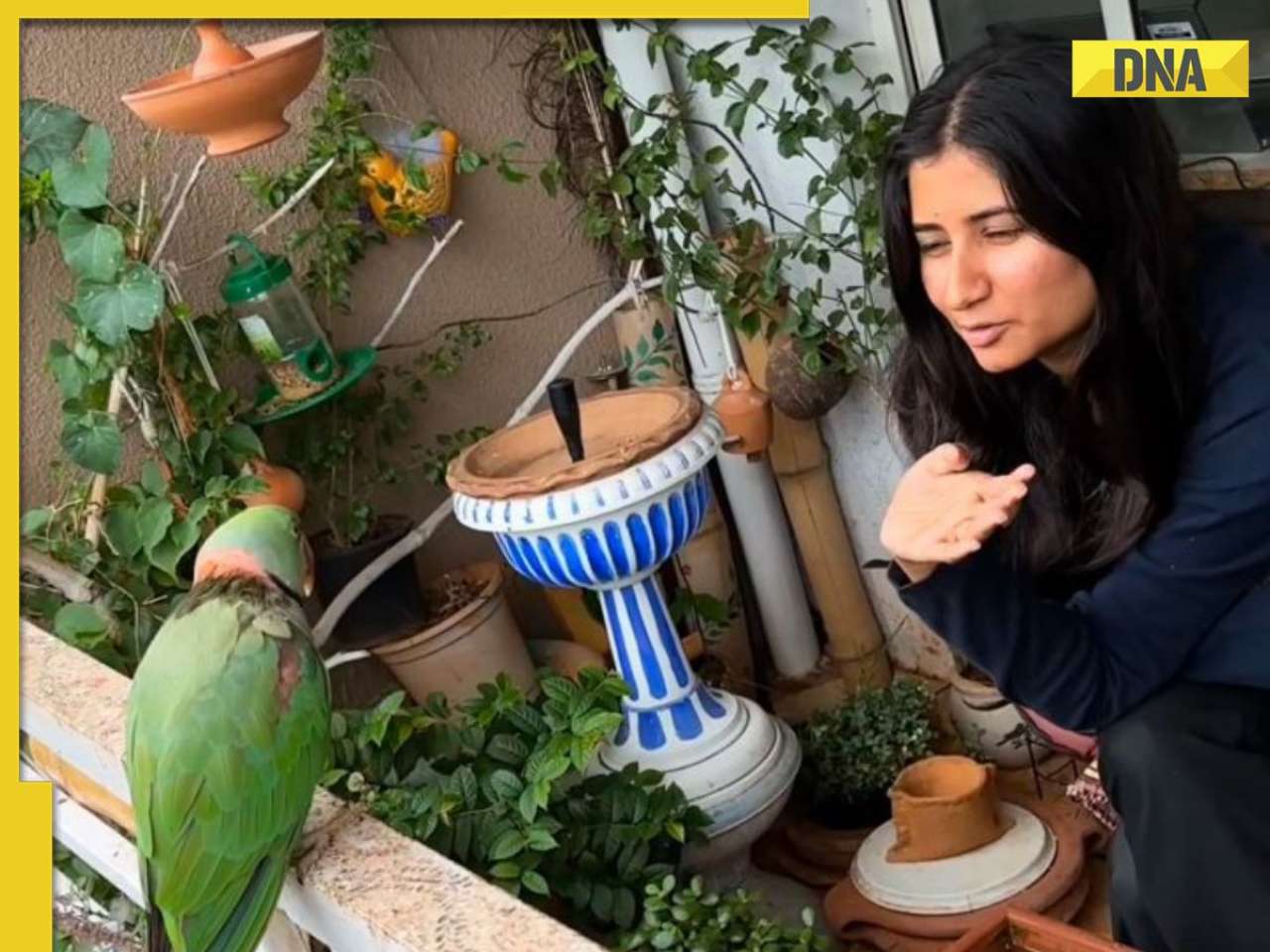 Viral video: Pune woman's emotional farewell to parrot captures hearts online, WATCH