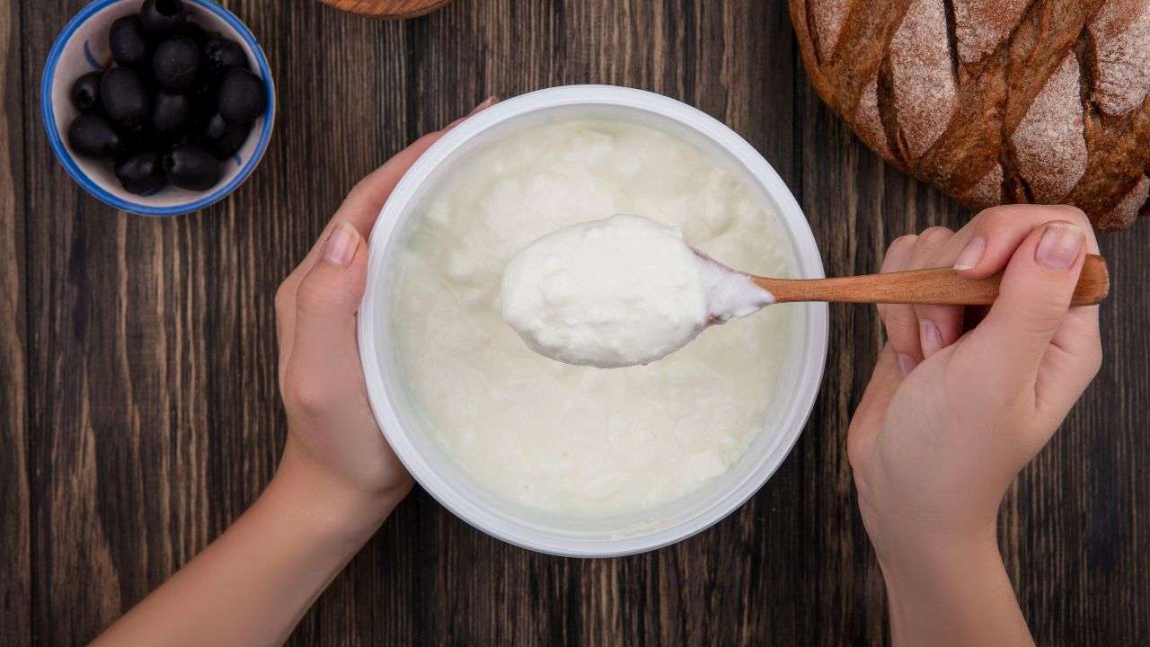 Greek yogurt