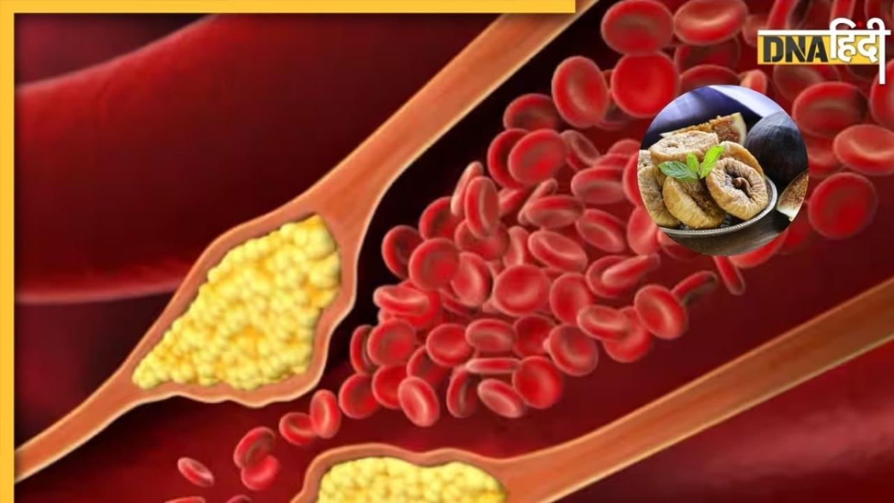 शरीर से Bad Cholesterol को खींच निकालेगा ये सूखा फल, जान लें सेवन का सही तरीका