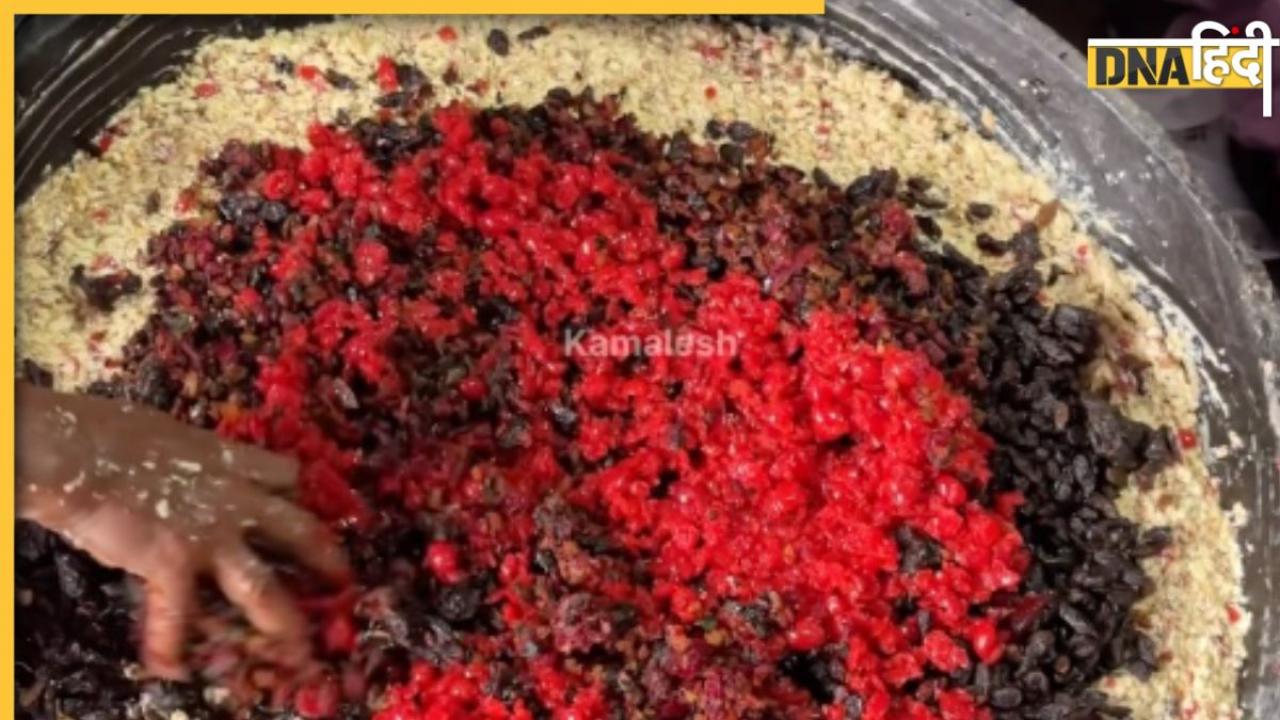 Viral: फ्रूट केक खाने के शौकी हैं तो देखें ये वायरल Video, बनाने का तरीका देखकर रह जाएंगे हैरान