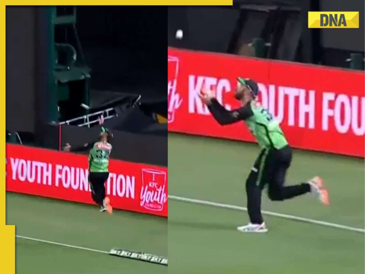 BBL: Glenn Maxwell executes jaw-dropping catch for Melbourne Stars at long-off boundary - Watch