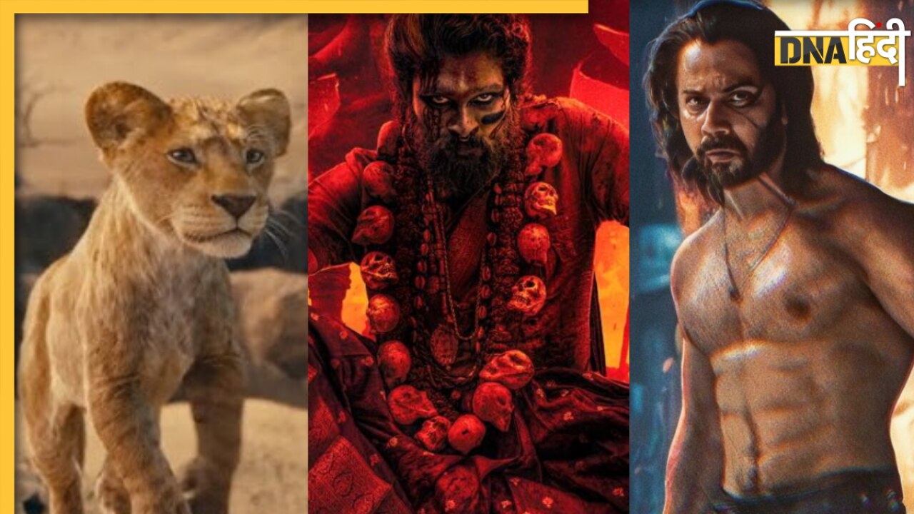 Box office report: पुष्पा 2 से लेकर बेबी जॉन और मुफासा तक, 2024 के आखिरी दिन किस फिल्म ने बॉक्स ऑफिस पर किया राज