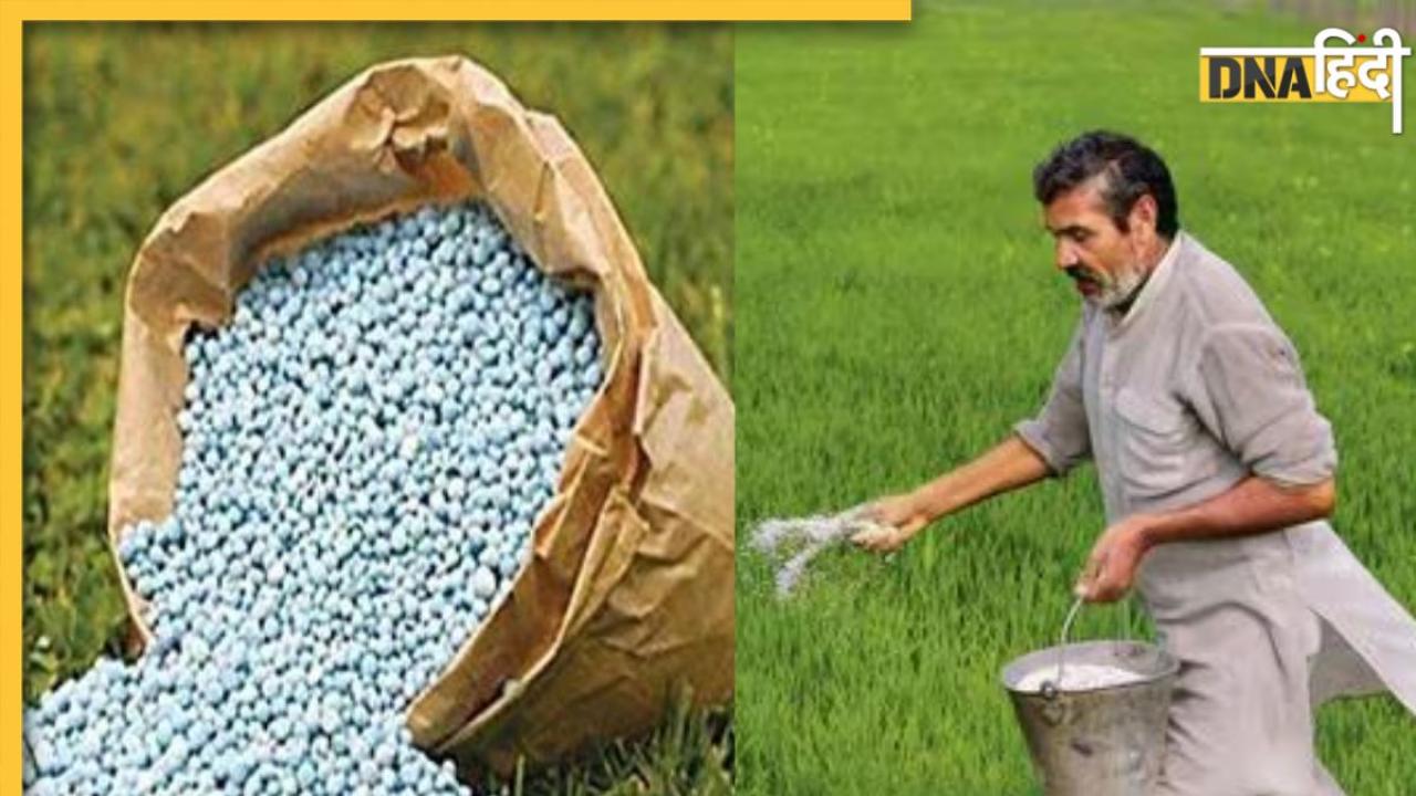 फसल बीमा के लिए 69,516 करोड़, 1350 रुपये में DAP खाद... नए साल पर किसानों को मिली बड़ी सौगात