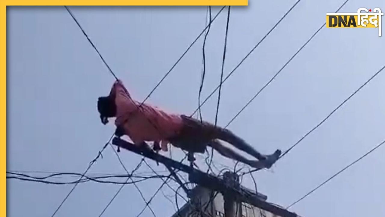 Viral Video: बिजली की तारों को बनाया बिस्तर, फिर चैन की नींद सोया युवक, इसके बाद जो हुआ, उसे वीडियो में देखें