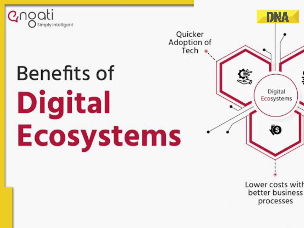 Building Consumer Trust in the Digital Ecosystem Through Whitelisting