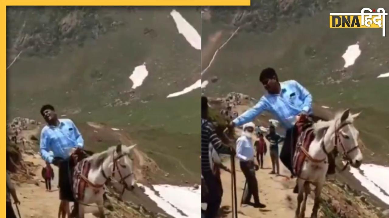 Viral: गधे पर बैठा शख्स कर रहा था पहाड़ की चढ़ाई, पहुंच गया खाई के पास,  वीडियो देख लोग बोले- यमराज आता ही होगा!