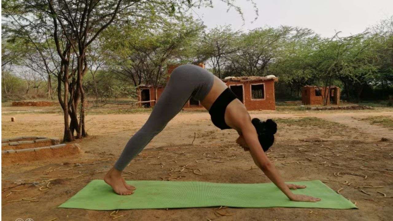 Downward-Facing Dog (Adho Mukha Svanasana)