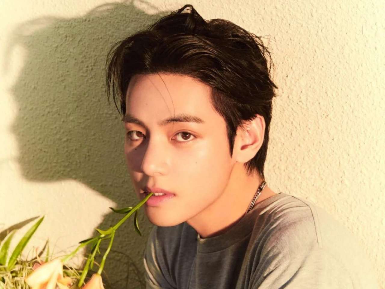 BTS’ V aka Kim Taehyung