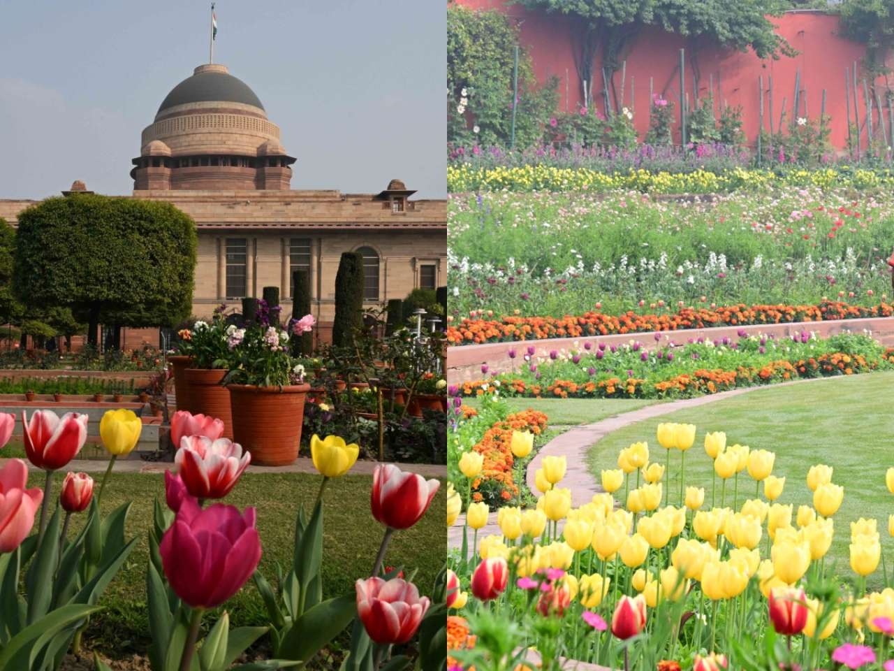 Visit Rashtrapati Bhavan's Amrit Udyan