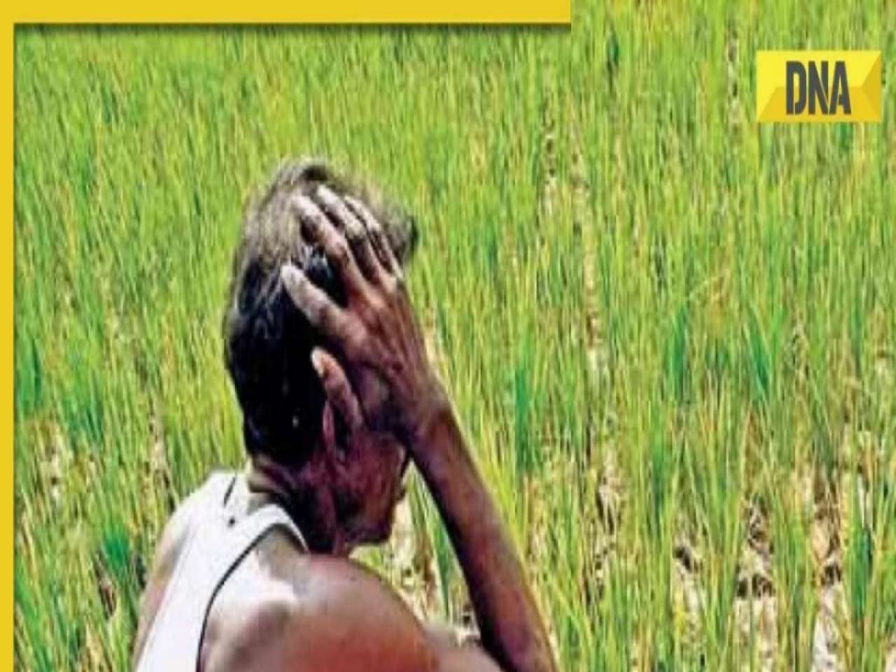 PM Kisan Yojana: PM Modi to release 19th instalment of PM KISAN in Bhagalpur today