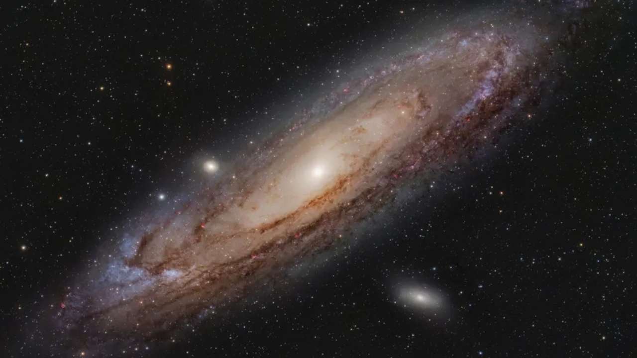 Black holes in both galaxy