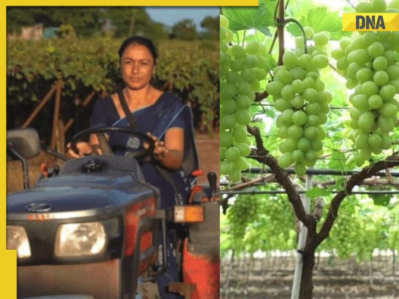 Meet a woman who lost her husband, her child, worked alone and built an agricultural business from zero without any experience and did Rs …