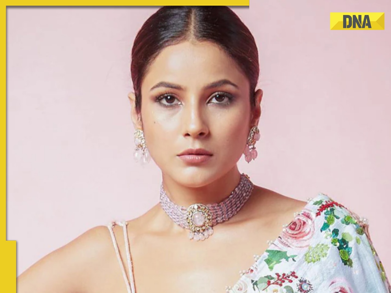 Shehnaz Gill's playful comment goes wrong, netizens slam her 'arrogance'; know what happened