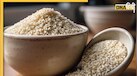 Healthy Seeds: रोज सुबह बासी मुंह चबा कर खा लें ये सफेद बीज, कमजोरी से स्ट्रेस तक होगा दूर
