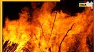 Jharkhand News: पश्चिमी सिंहभूम में पुआल में आग लगने से बड़ा हादसा, पास में खेल रहे 4 बच्चों की जिंदा जलने से मौत  